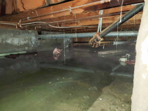 Best Ceiling water damage repair  in Souderton, PA