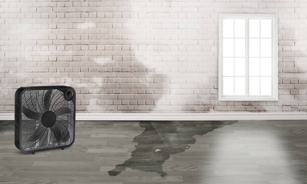 Best Flood damage cleanup  in Souderton, PA