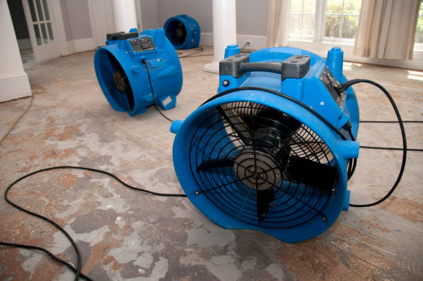 Best Water damage mitigation services  in Souderton, PA