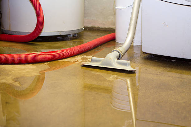 Best Basement water damage restoration  in Souderton, PA
